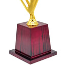 Star Crickter Trophy-266 CSI