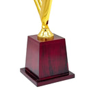 Star Crickter Trophy-266 CSI