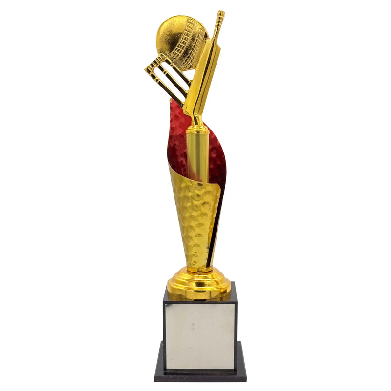 Crystal Gold Cricket Trophy DS Sports