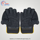 DS 1.0 Wicket Keeping Gloves - Cricket shop italy