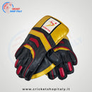 DS 1.0 Wicket Keeping Gloves - Cricket shop italy