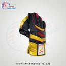 DS 1.0 Wicket Keeping Gloves - Cricket shop italy