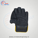 DS 1.0 Wicket Keeping Gloves - Cricket shop italy