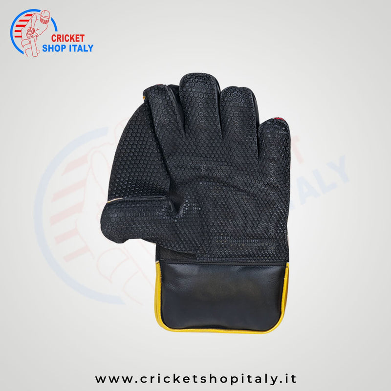 DS 1.0 Wicket Keeping Gloves