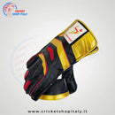DS 1.0 Wicket Keeping Gloves - Cricket shop italy