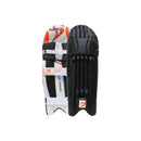 DS Black Cricket Pads & Gloves Set DS Sports