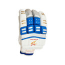 Ds D 1.0 Batting Gloves Youth ( silver/blu) DS Sports