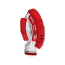DS Red Cricket Pads & Gloves Set DS Sports