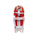 DS Red Cricket Pads & Gloves Set DS Sports
