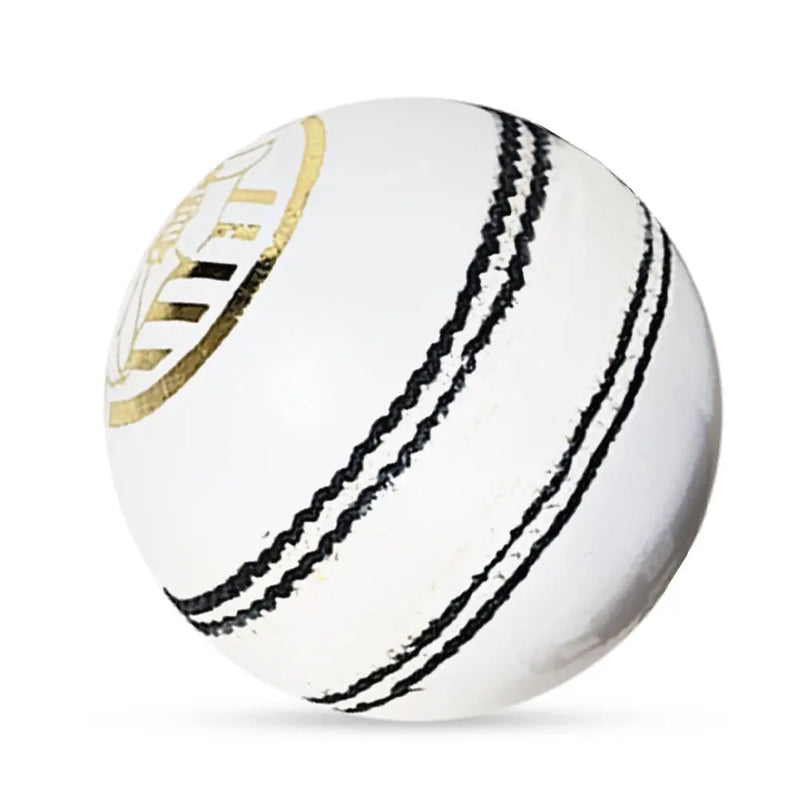 Ds D1 Alum Leather Cricket Ball - Cricket shop italy