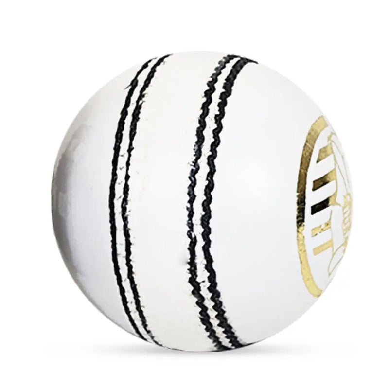 Ds D1 Alum Leather Cricket Ball - Cricket shop italy