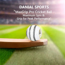 Ds D1 Alum Leather Cricket Ball - Cricket shop italy