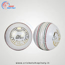 DS Indoor Cricket Ball White DS Sports