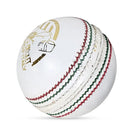 DS Indoor Cricket Ball (Pack of 6) DS Sports