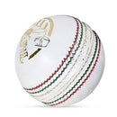 DS Indoor Cricket Ball DS Sports