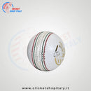 DS Indoor Cricket Ball White DS Sports