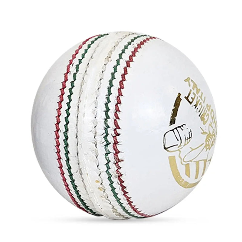 DS Indoor Cricket Ball (Pack of 6) DS Sports