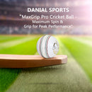 DS Indoor Cricket Ball DS Sports