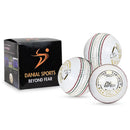 DS Indoor Cricket Ball (Pack of 6) DS Sports