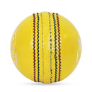 DS Indoor Cricket Ball (Pack of 6) DS Sports