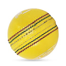 DS Indoor Cricket Ball (Pack of 6) DS Sports