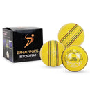 DS Indoor Cricket Ball (Pack of 6) DS Sports