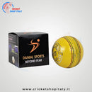 DS Indoor Cricket Ball DS Sports
