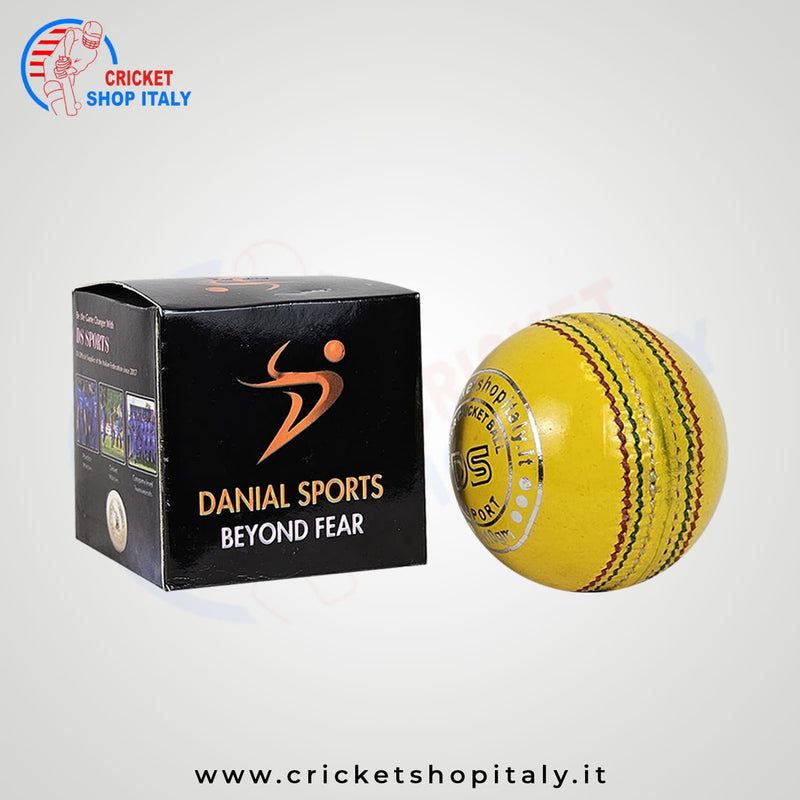 DS Indoor Cricket Ball (Pack of 6)