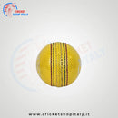 DS Indoor Cricket Ball DS Sports