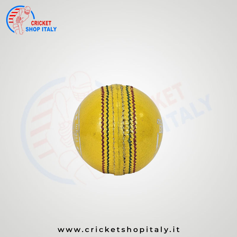 DS Indoor Cricket Ball (Pack of 6)