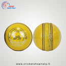 DS Indoor Cricket Ball DS Sports