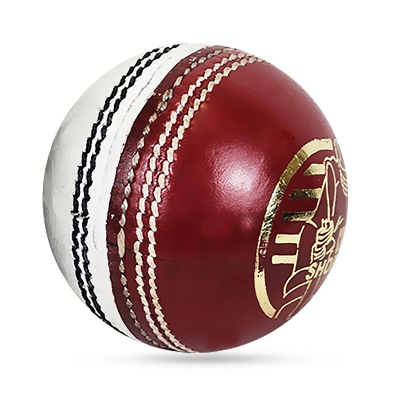 DS Practice Red / white Cricket Ball