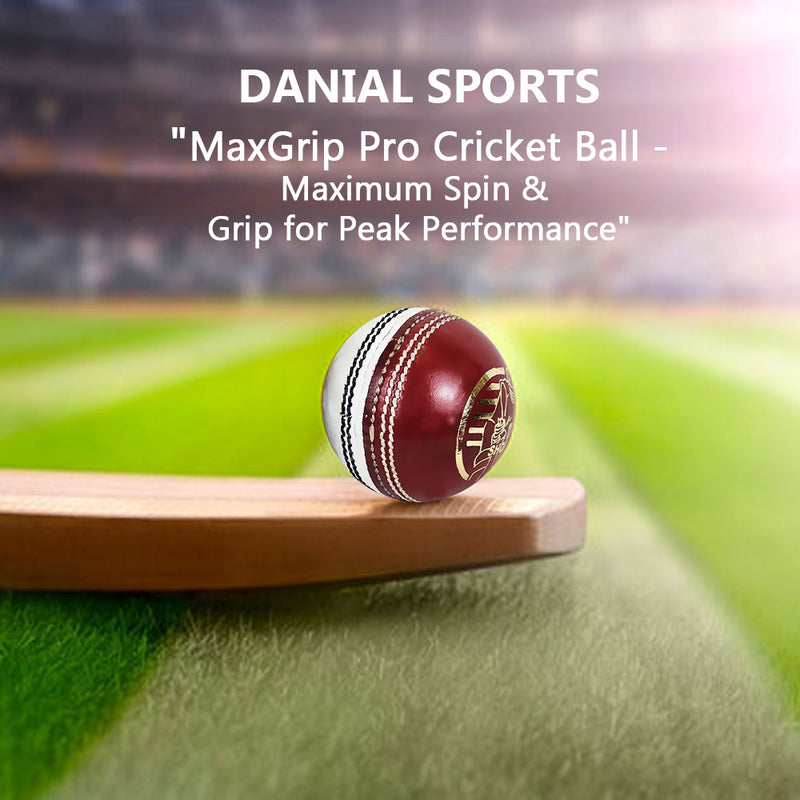 DS Practice Red / white Cricket Ball