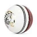 DS Practice Red / white Cricket Ball - Cricket shop italy