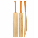 DS 1.0 Kashmir Willow Cricket Bat