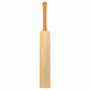 DS 1.0 Kashmir Willow Cricket Bat
