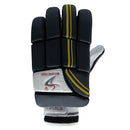 DS 1.3 Batting Gloves Black DS Sports
