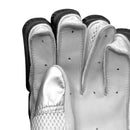 Ds T/20 Limited Edition Batting Gloves Black DS Sports