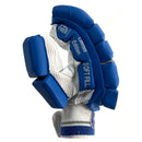 Ds T/20 Limited Edition Batting Gloves Blue DS Sports