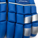 Ds T/20 Limited Edition Batting Gloves Blue DS Sports