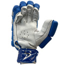 Ds T/20 Limited Edition Batting Gloves Blue DS Sports