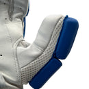 Ds T/20 Limited Edition Batting Gloves Blue DS Sports