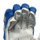 Ds T/20 Limited Edition Batting Gloves Blue DS Sports