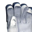 Ds T/20 Limited Edition Batting Gloves Navy DS Sports