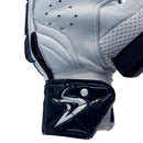 Ds T/20 Limited Edition Batting Gloves Navy DS Sports