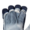 Ds T/20 Limited Edition Batting Gloves Navy DS Sports