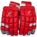 DS 1.0 Cricket Batting Set Red DS Sports