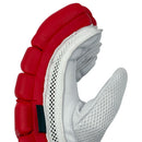 DS T/20 Limited Edition Batting Gloves Red DS Sports