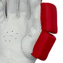 DS T/20 Limited Edition Batting Gloves Red DS Sports