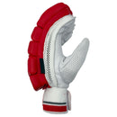 DS T/20 Limited Edition Batting Gloves Red DS Sports